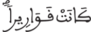 الإنسان 15 3