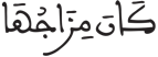 الإنسان 17 4