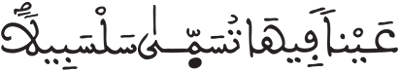 الإنسان 18 2