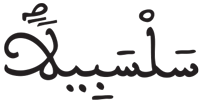 الإنسان 18
