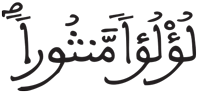 الإنسان 19