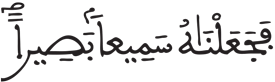 الإنسان 2 5