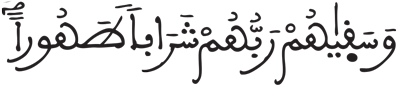 الإنسان 21 2