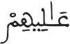 الإنسان 21 3