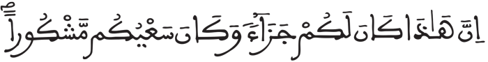 الإنسان 22 2