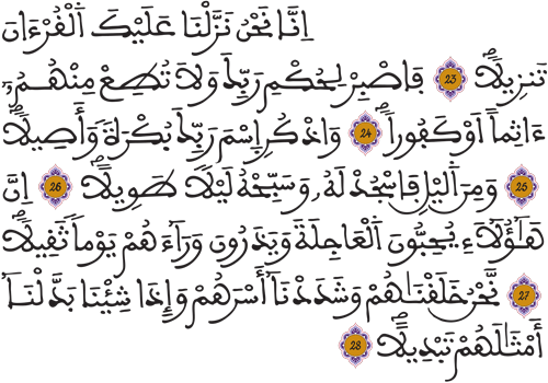 الإنسان 23 28