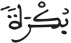 الإنسان 24 9