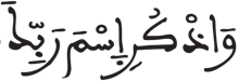 الإنسان 25 3