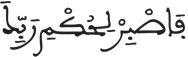 الإنسان 25 7