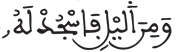الإنسان 26 3