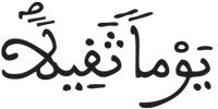 الإنسان 27