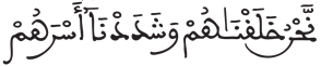الإنسان 28 3