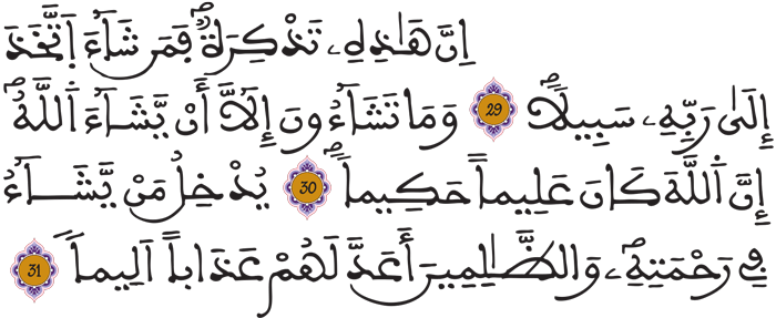 الإنسان 29 31