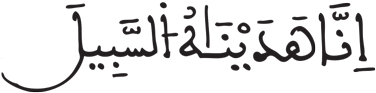 الإنسان 3 4