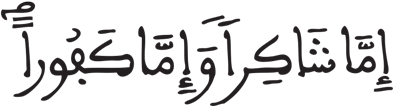 الإنسان 3 5