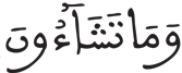 الإنسان 30 6