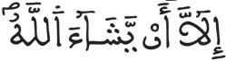 الإنسان 30 4