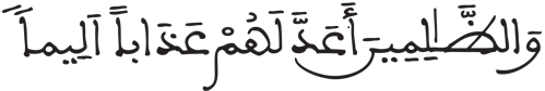 الإنسان 31 4