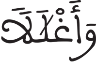 الإنسان 4