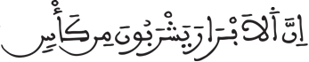 الإنسان 5 4