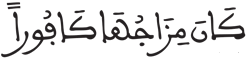 الإنسان 5 6