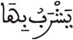 الإنسان 6 5