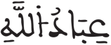 الإنسان 6 6