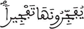 الإنسان 6 7