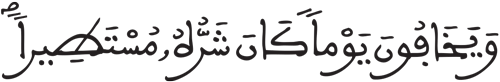 الإنسان 7 5