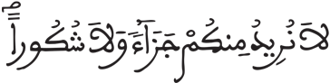 الإنسان 9 3