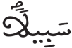 الإنسان 29 2