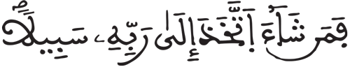 الإنسان 29 7