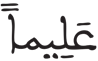 الإنسان 30 2