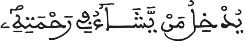 الإنسان 31 6