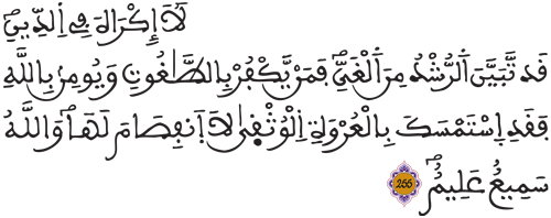 البقرة 255