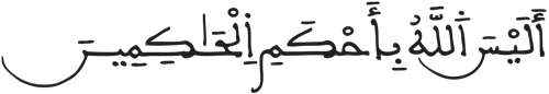 التين 8