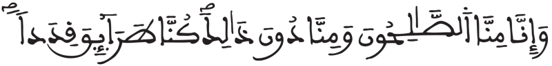 الجن 11
