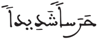 الجن 8