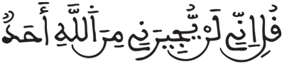 الجن 22 1
