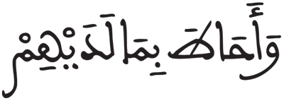 الجن 28 3