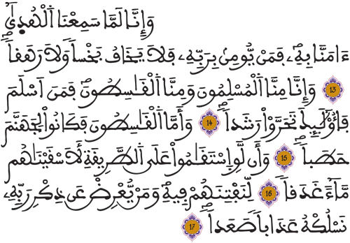 الجن 13 17