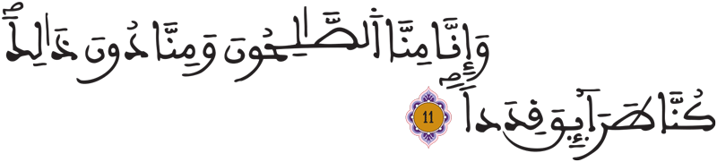 الجن 11 1