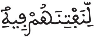 الجن 17 3