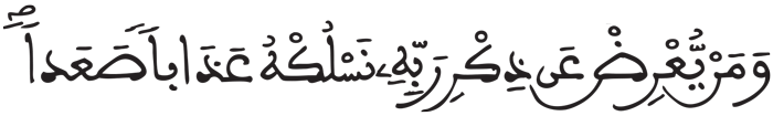 الجن 17 5