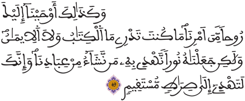 الشورى 49
