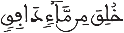 الطارق 6
