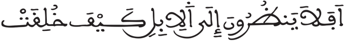 الغاشية 17