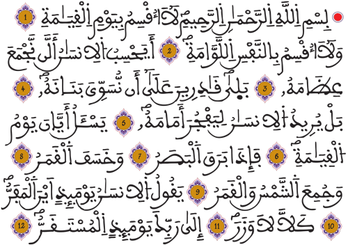القيامة 1 12