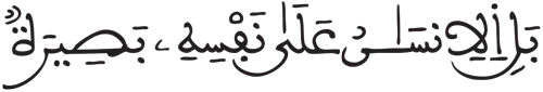 القيامة 14 2