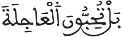 القيامة 19 3